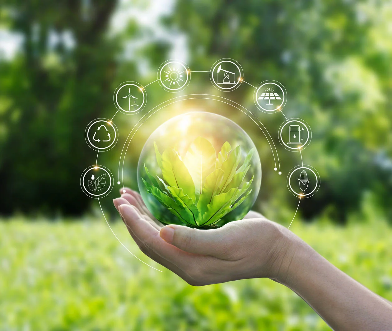 AI for the Planet: Climate Literacy and Sustainable Pedagogy